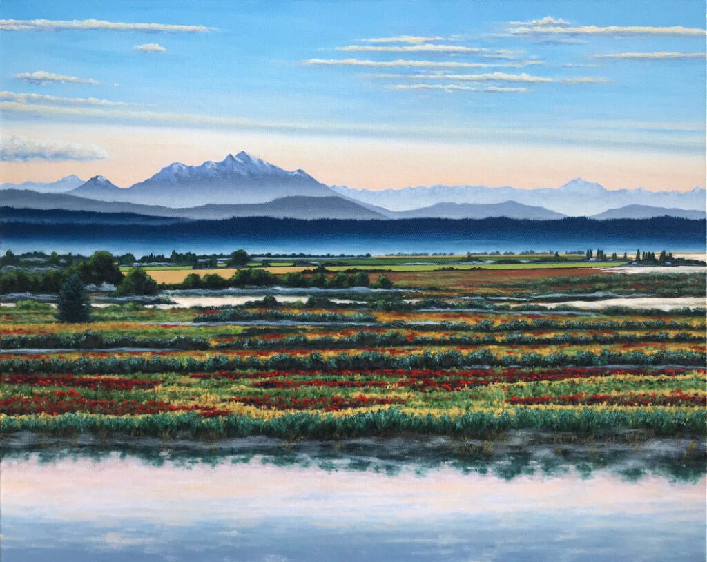 Morning view over Fir Island in Washington's Skagit Valley with Mt Pilchuck and the Cascade Mountains in the Distance